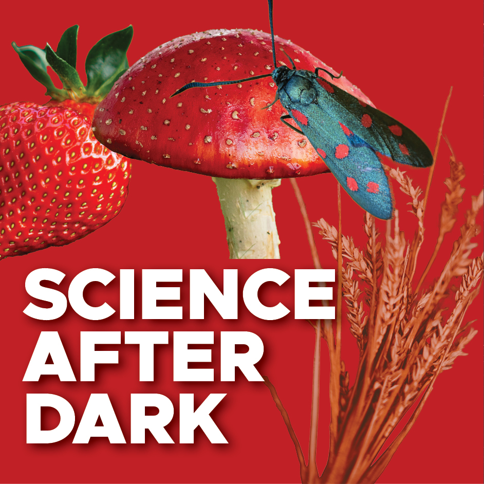 Science After Dark